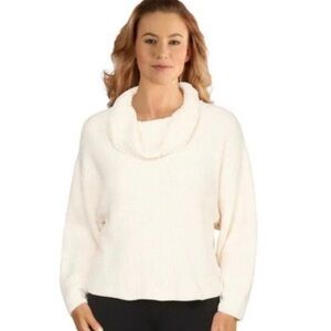 J. Jill Soft Chenille Cowl Neck Sweater